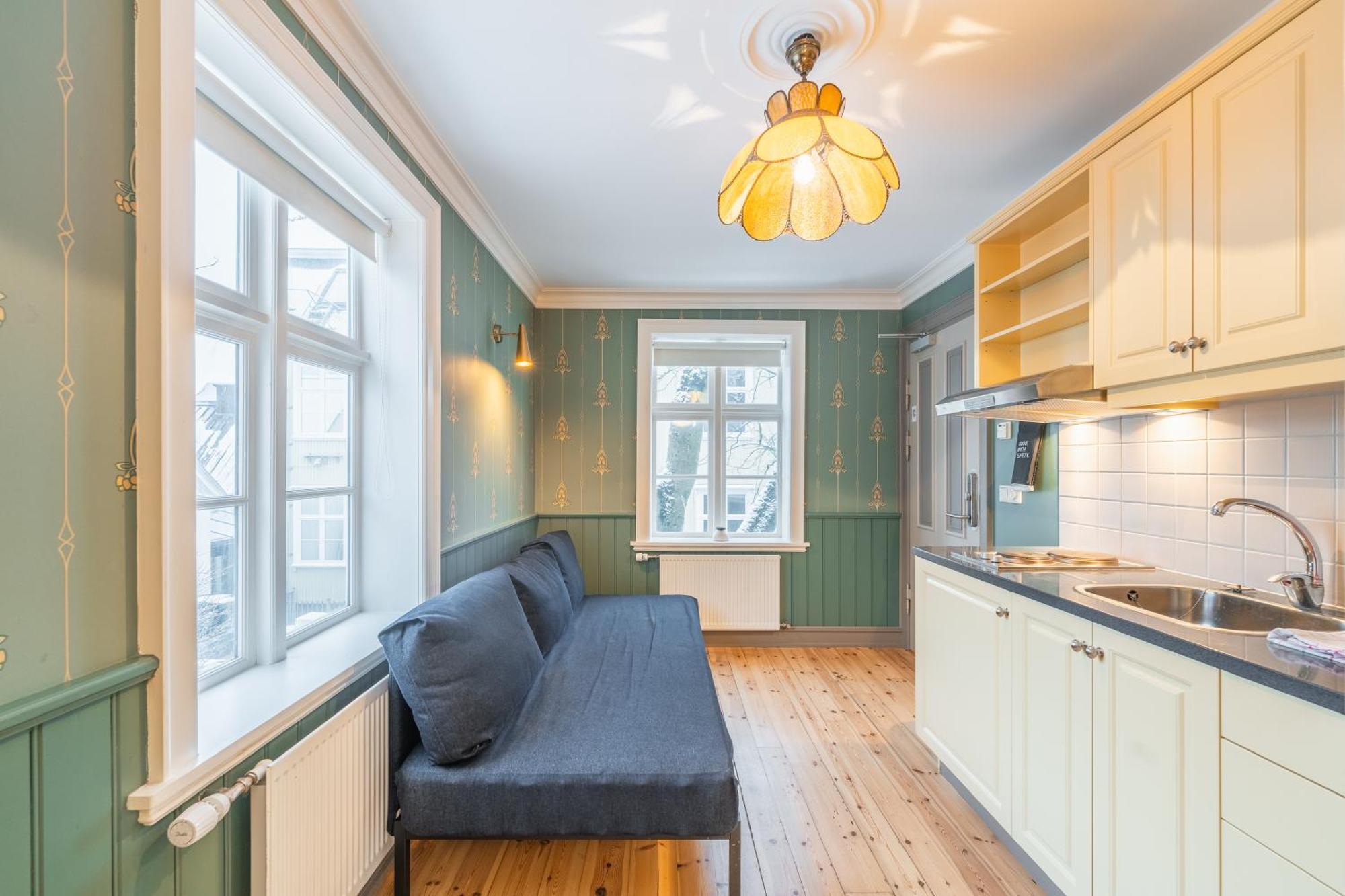 Day Dream Historical Grjotagata 4 Apartment Рейкявик Екстериор снимка